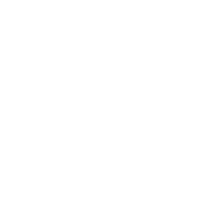 El lagarto Verde