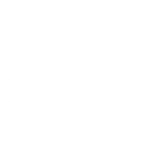 El lagarto Verde